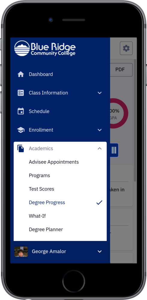 Degree Progress