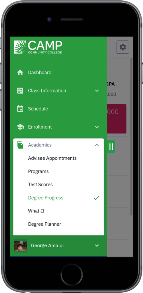 Degree Progress