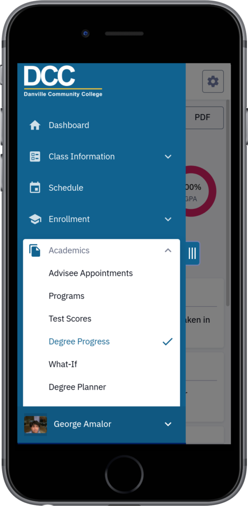 Degree Progress