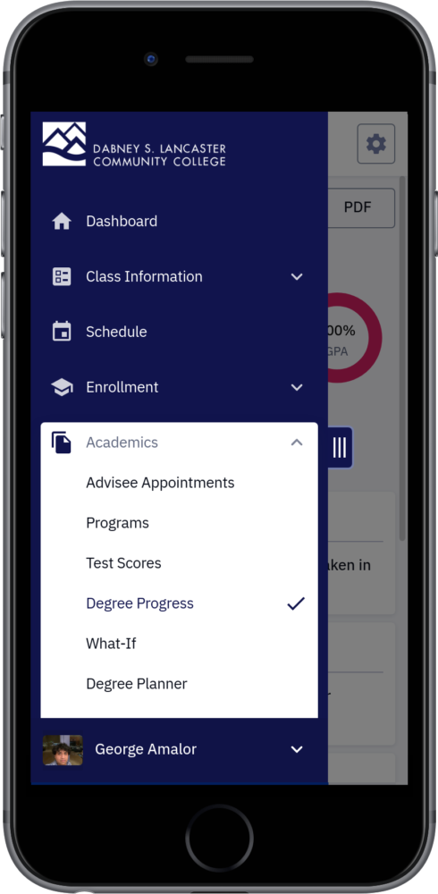 Degree Progress