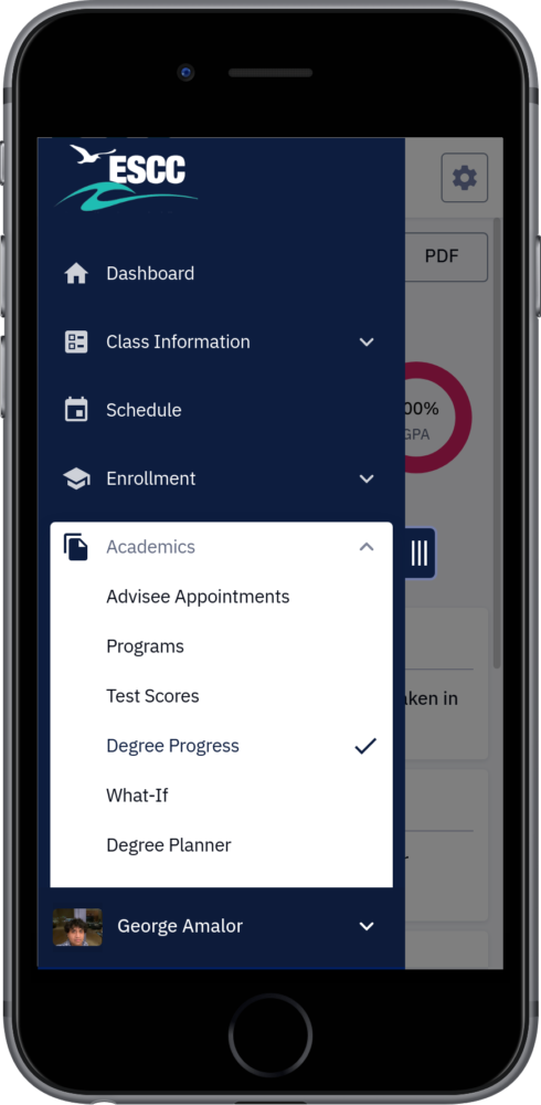 Degree Progress