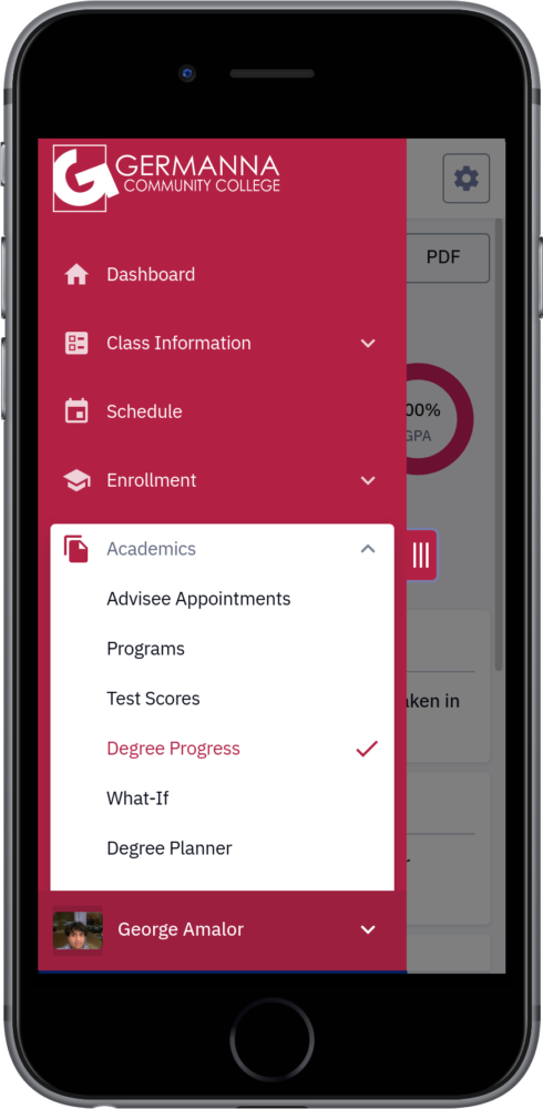 Degree Progress