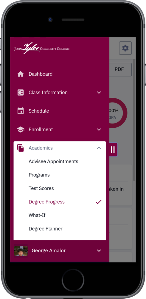 Degree Progress