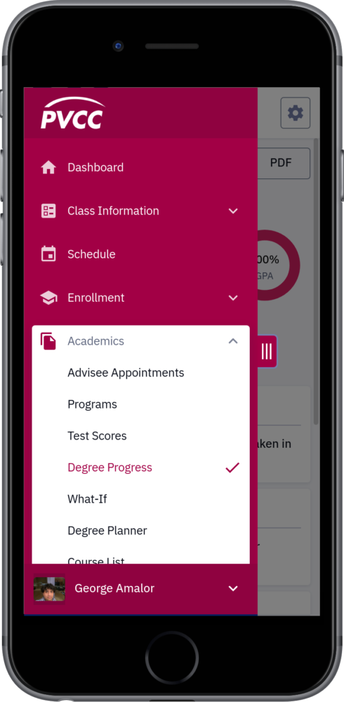 Degree Progress