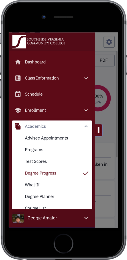 Degree Progress