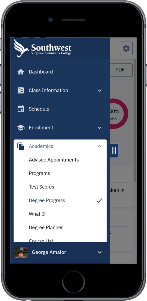 Degree Progress