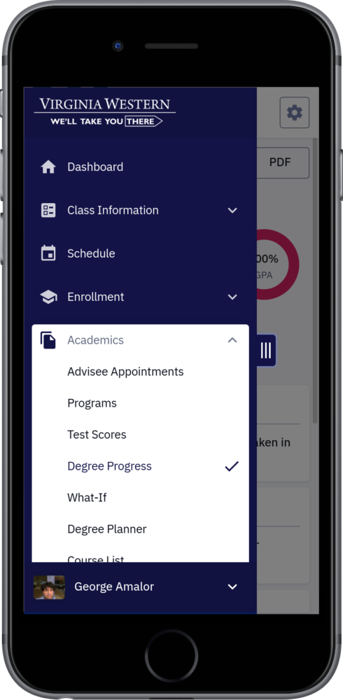 Degree Progress