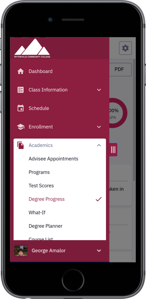 Degree Progress